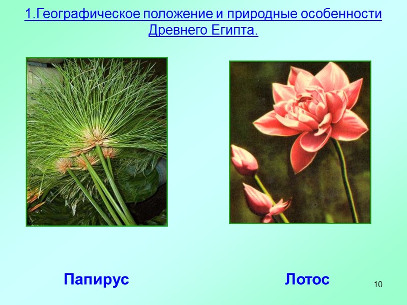 10 Папирус  Лотос 1.Географическое положение и природные особенности Древнего Египта.